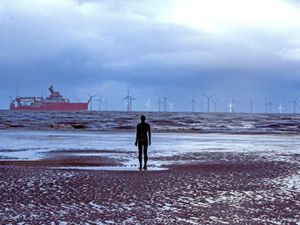 Supporting image for story: Calls to value nature to reverse devastating losses that put economies at risk