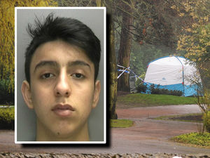 Ayman Aziz, inset, was aged 16 when he killed Viktorija