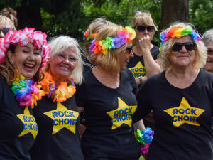 Bridgnorth Pride. Photo: Elliot Benton