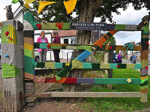 Supporting image for story: Shropshire WI ladies knit out public spaces