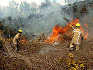 Supporting image for story: Chase hit by arson again