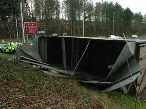 Supporting image for story: Cows freed into field after accident on A49