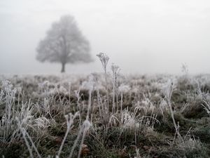 Supporting image for story: Temperatures forecast to drop next week with potential for snow