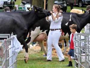 Supporting image for story: Shropshire events organisers gearing up for weekend with scorcher on the way