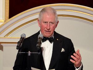 Supporting image for story