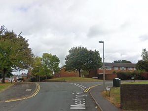 Supporting image for story: Appeal after dog walker injured in Coseley hit-and-run