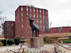 Supporting image for story: Freeze on Cannock Chase councillors' allowances hailed