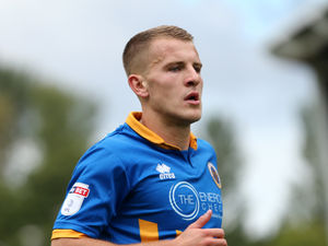 Supporting image for story: Shrewsbury Town's Bryn Morris joins Wycombe on loan