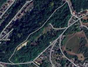 Aerial image of the wooded area near Lincoln Hill, Ironbridge, which used to be home to a quarry filled in by a waste tip. Picture: Google Maps