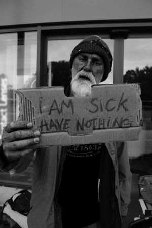 One of the pictures taken by Ivy