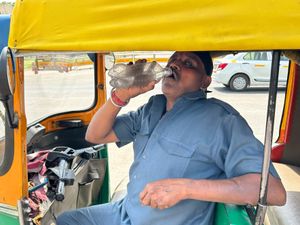 Supporting image for story: New Delhi on high alert as parts of northern India scorched by extreme heat