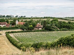 Supporting image for story: Kent landscape that inspired Dickens declared nature reserve