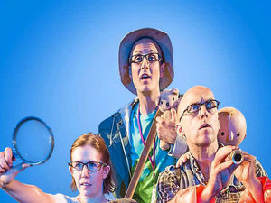 Supporting image for story: Families can hunt out bears in Stafford theatre show