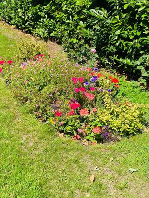 Great Haywood WI's Winning Garden