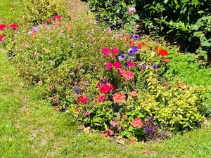 Supporting image for story: WI garden born from friendship