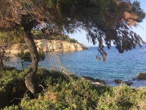 Supporting image for story: Island full of magical moments