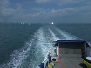 Supporting image for story: 'Just a fun tweet' - the REAL story behind Walsall FC supporter's Pompey trip revealed