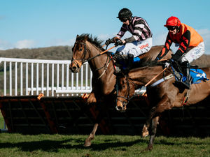 Supporting image for story: Ludlow meet is off