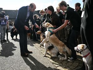 Supporting image for story: William surprised by cheeky Labrador during college visit