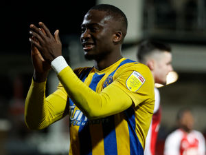 Supporting image for story: Daniel Udoh's red-hot Shrewsbury Town form declared not a fluke