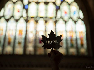 Supporting image for story: Reflective pandemic art installation to be hosted at Lichfield Cathedral