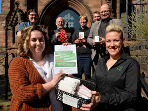 Supporting image for story: Event highlights eco-friendly products