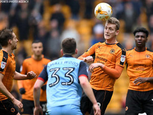 Supporting image for story: Wolves 1 Rotherham 0 - player ratings