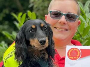 Supporting image for story: 'He’s absolutely changed my life' - Black Country woman's little dachshund with a 'big personality' returns to Crufts for 2026