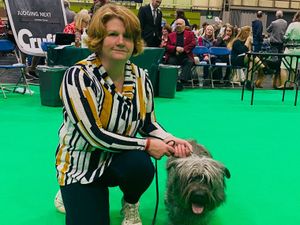 Supporting image for story: Veteran dog from Shropshire wins 'Best Dog' in the breed classes at this year's Crufts 