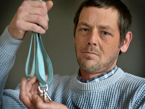 Supporting image for story: Owner left devastated after dog stabbed by burglar at Wednesfield break-in