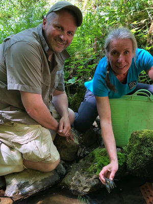 Liz Oldring releasing one of the rescued White-clawed Crayfish with Nick Mott. Photo: Karim Vahed
