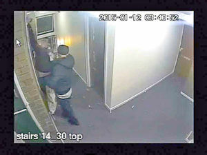 The thugs drop one of the birds through a window