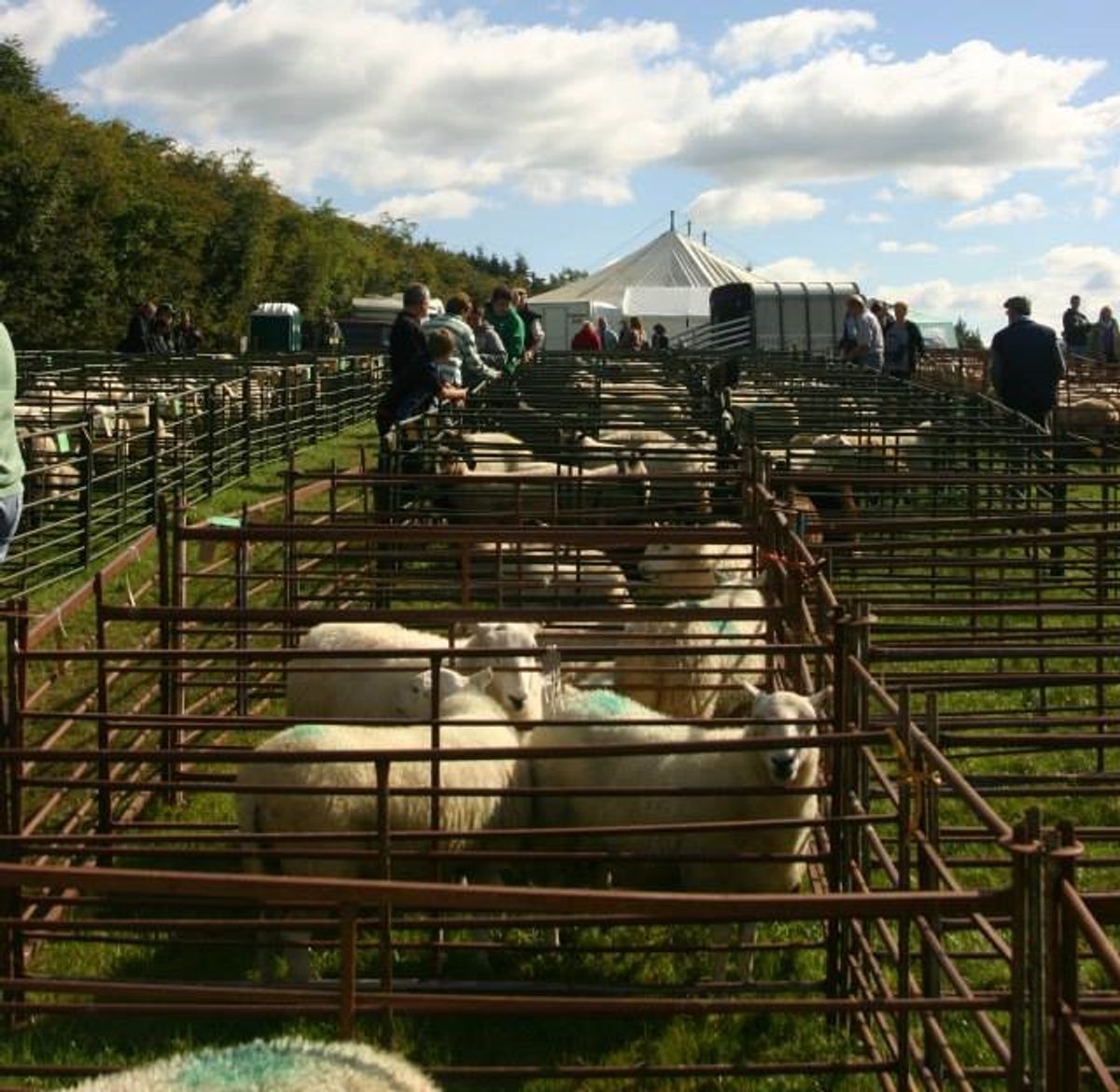The last agricultural show in Radnorshire&rsquo;s season will be held on Saturday, September 27