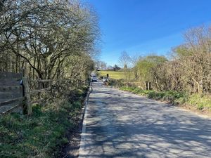 Pic taken by LDR Rachel Alexander March 2025
Permission for use for LDR partners 