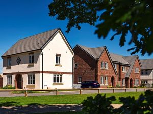 Supporting image for story: Work finishes on Wellington housing estate – with just one home still available