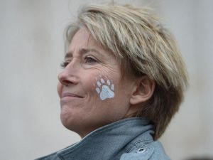 Supporting image for story