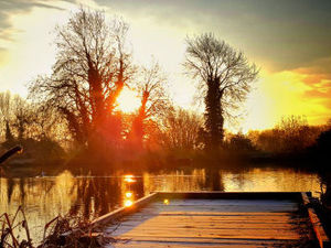 Supporting image for story: New local nature reserve to be named in Telford