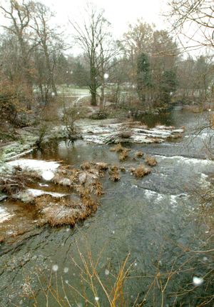 Snow settling on the banks of the River Severn at Newtown, November 26, 2010.