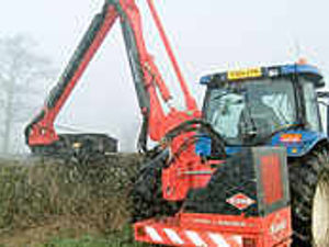 Supporting image for story: Long arms for an easier reach