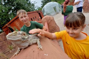 Amilie Hudd, 10, and Max Marshall with bearded dragon Arthur