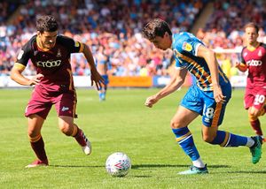 Alex Gilliead of Shrewsbury Town. (AMA)