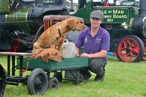 SHREW COPYRIGHT NATIONAL WORLD STEVE LEATH 24/05/2025Pics at West Mids Showground of the Shropshire Show. Albert Stephenson from Shrews' with Drake and Purby.