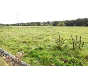 Contributed by protestor, permission for use for LDR partners
Story: Protest against BESS on green belt 
Uploaded by Rachel Alexander LDR 