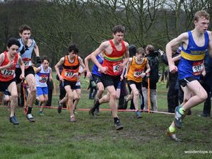 Supporting image for story: Runners out in force as Series kicks off