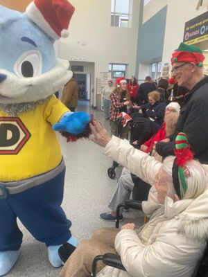 Residents from HC-One’s Sedgley Court Care Home at Russells Hall Hospital Market & Light Switch-On