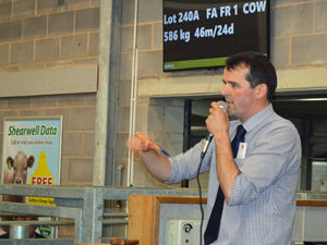 Supporting image for story: TB restricted options