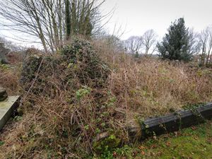 Supporting image for story: Plea to save 'special, historic graveyard' in Sedgley as secretary quits amid council frustration
