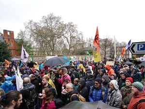 Supporting image for story: Scientist warns of ‘very scary’ nature decline as green groups unite to protest