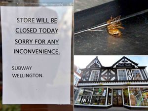 Supporting image for story: Tipton couple fined £10,000 over cockroach infestation at Subway 