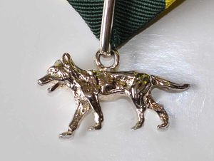 The Silver Wolf Award is the Scout Association's highest award